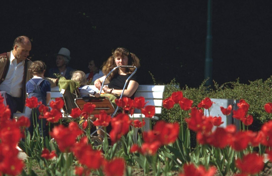 Der Stadtpark Bochum